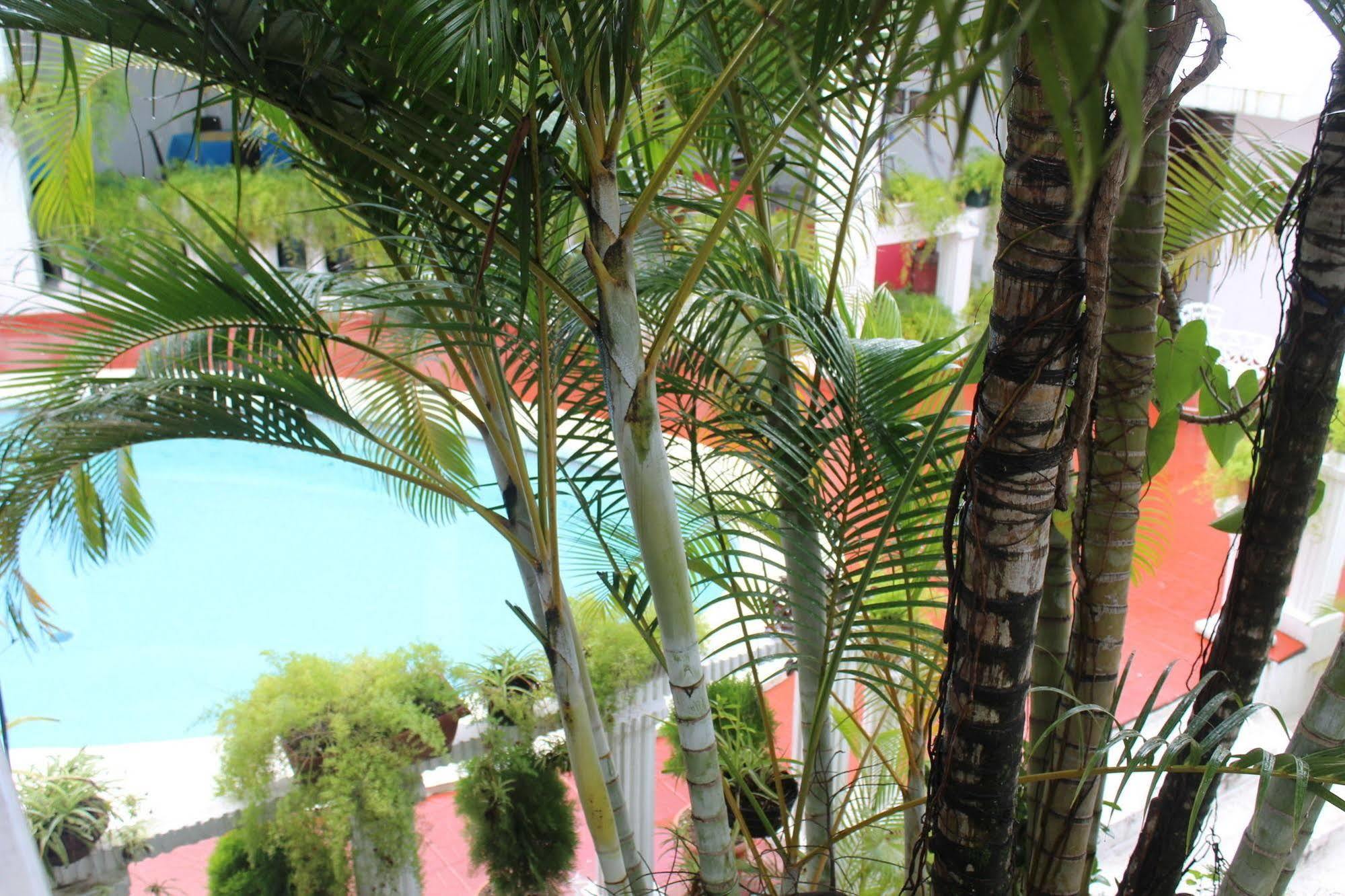 Hotel Grecia Real San Salvador Kültér fotó
