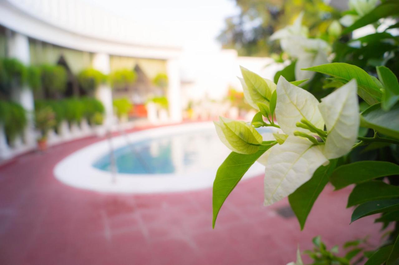 Hotel Grecia Real San Salvador Kültér fotó